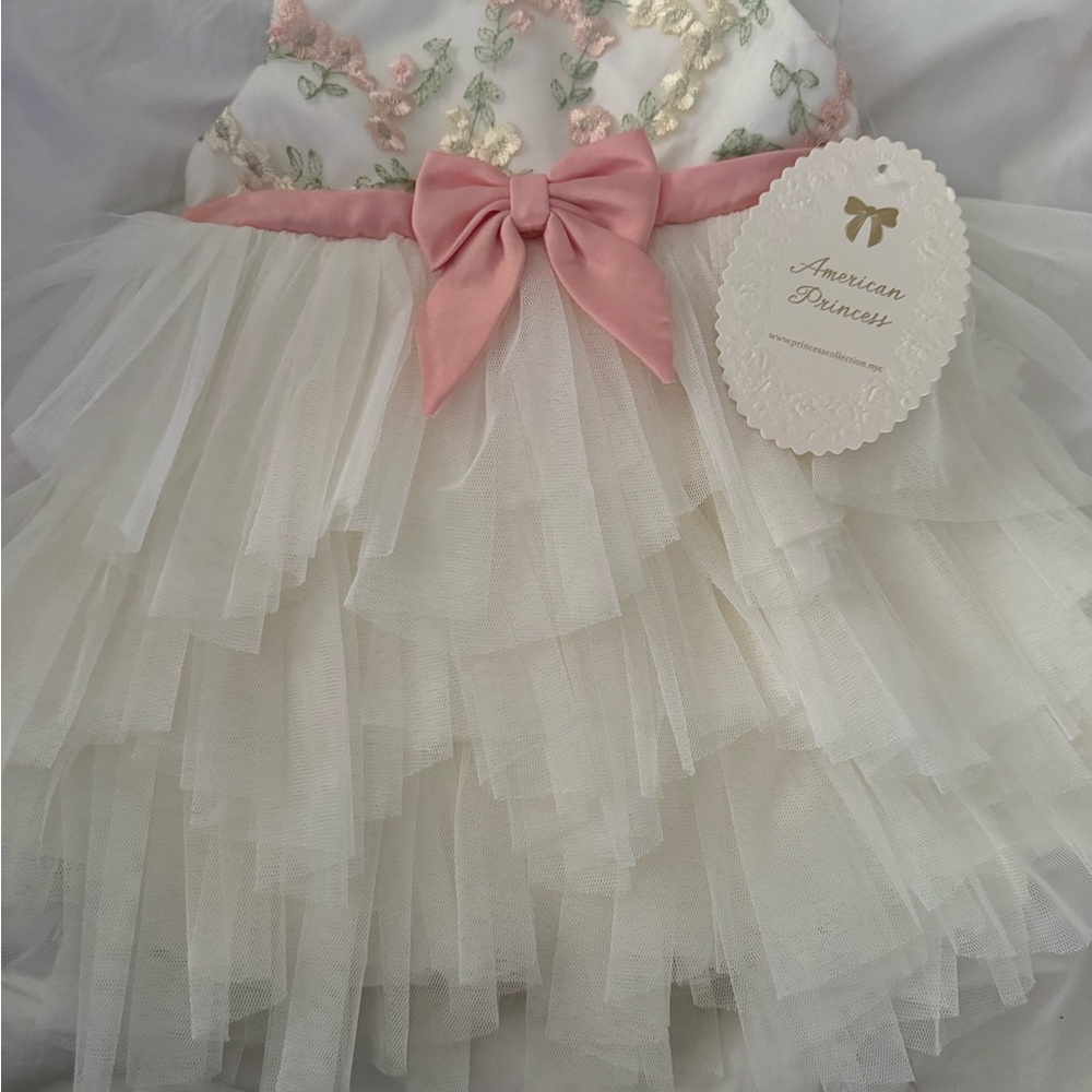 American Princess Ivory and Pink Tulle Dress